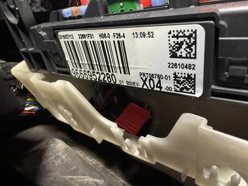 BSI identification label checked on Citroen DS before donor cloning